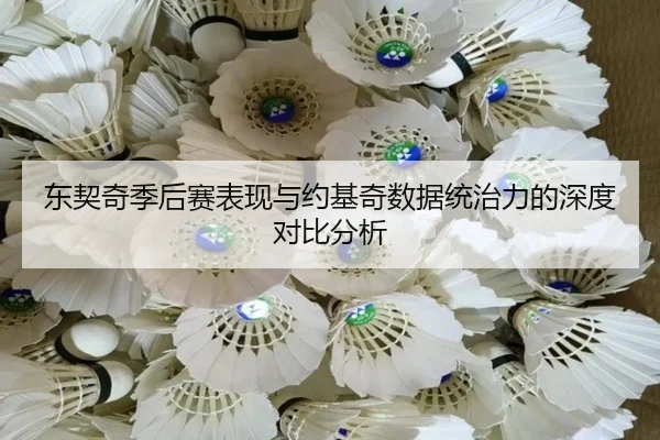 东契奇季后赛表现与约基奇数据统治力的深度对比分析